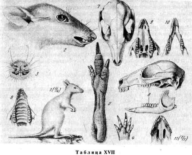 35.png (617856 Byte)