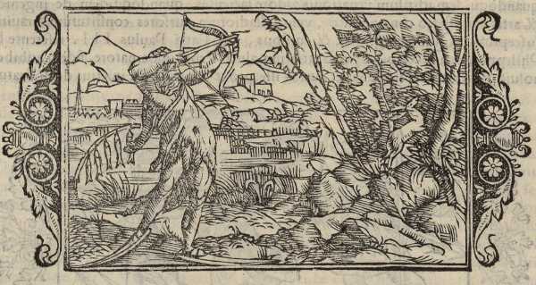 01_04.jpg (45930 Byte)