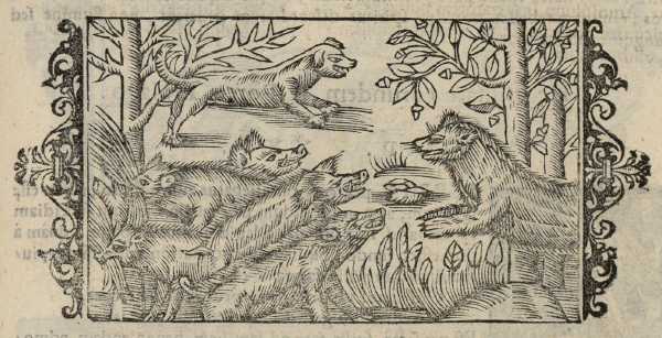 17_24.jpg (39439 Byte)