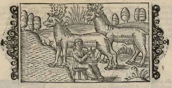 17_27.jpg (39160 Byte)