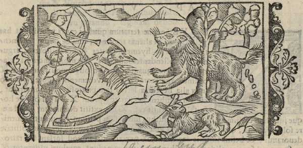 18_07.jpg (37199 Byte)