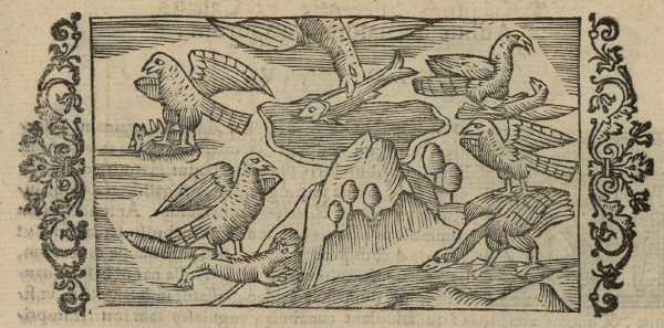 19_04.jpg (35141 Byte)