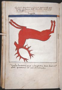 18_klein.JPG (17446 Byte)