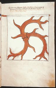 20_klein.JPG (16805 Byte)