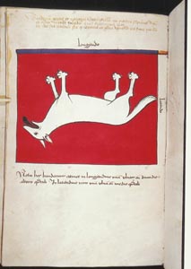 23_klein.JPG (15958 Byte)