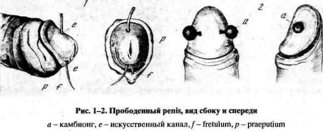 12.png (617856 Byte)