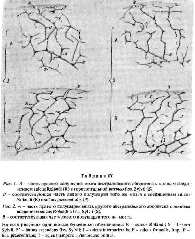 17.png (617856 Byte)