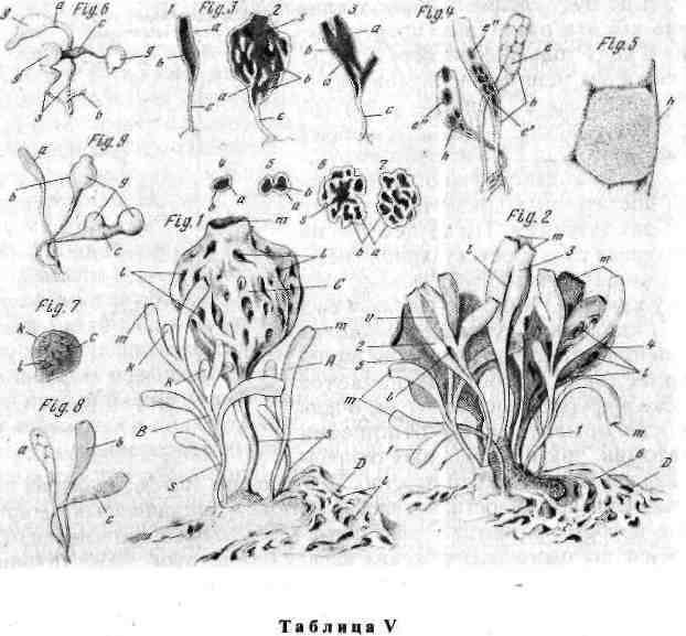 22.png (617856 Byte)