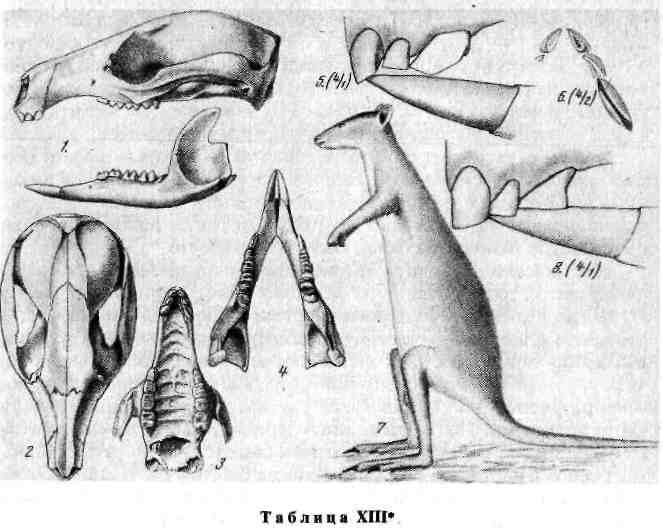 31.png (617856 Byte)