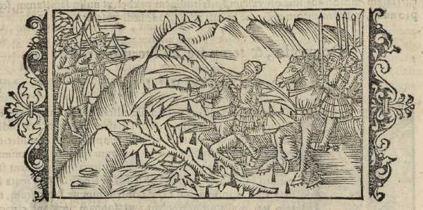 07_19.jpg (40284 Byte)