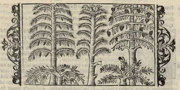 12_04.jpg (39947 Byte)