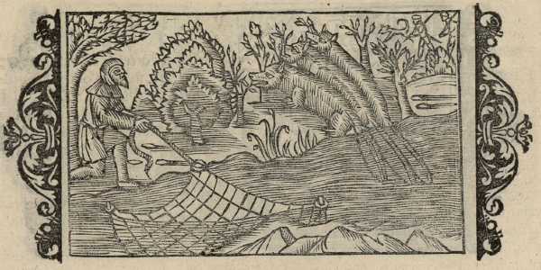 18_05.jpg (37908 Byte)