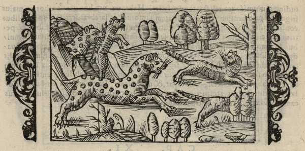 18_12.jpg (36980 Byte)