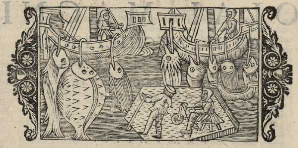 21_01.jpg (40898 Byte)